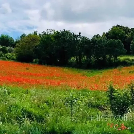 Сasa de vacaciones Histoire De Miel *